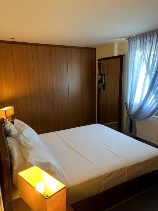 Sd Gallery Apartment Ioannina